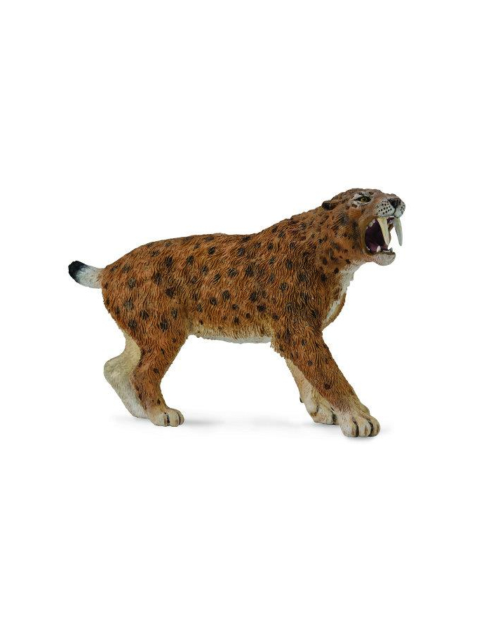 Dinozaur Smilodon 88715 COLLECTA główny