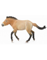 Ogier Przewalski 88602 COLLECTA - nr 1