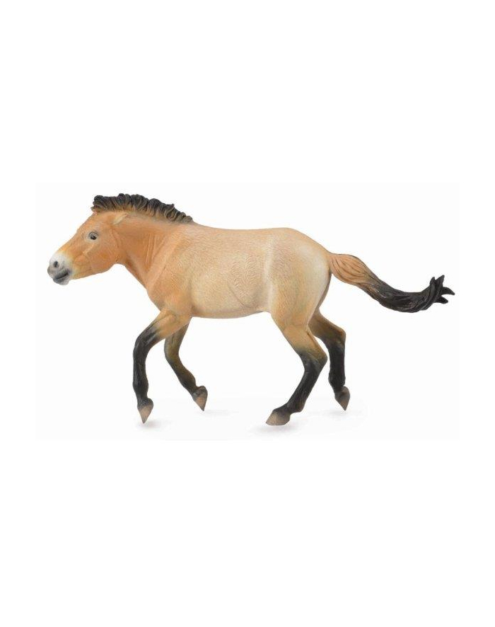 Ogier Przewalski 88602 COLLECTA główny