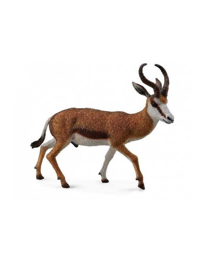 Kozica Springbok 88684 COLLECTA główny