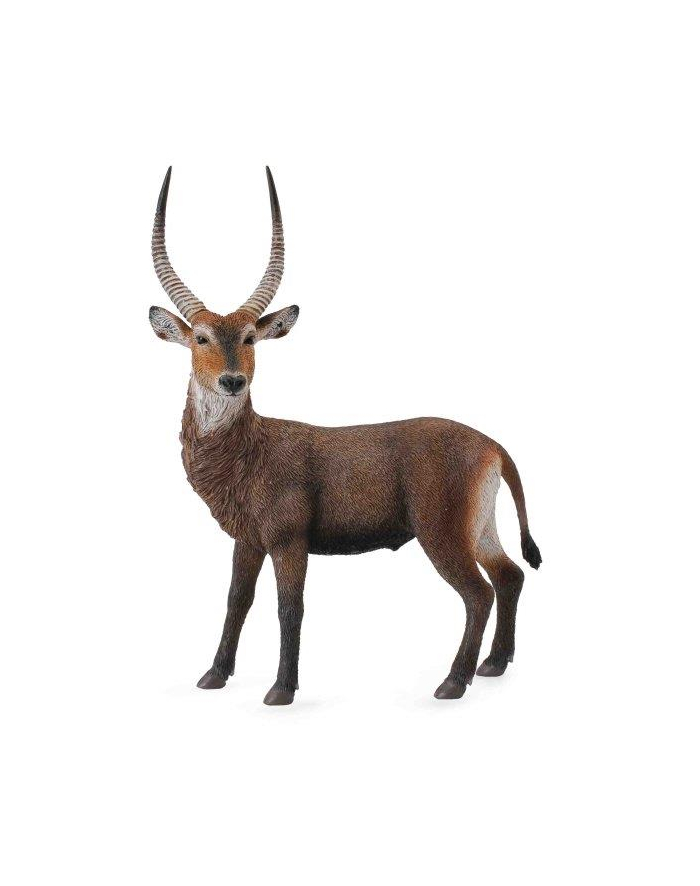 Antylopa Kob śniady 88562 COLLECTA główny
