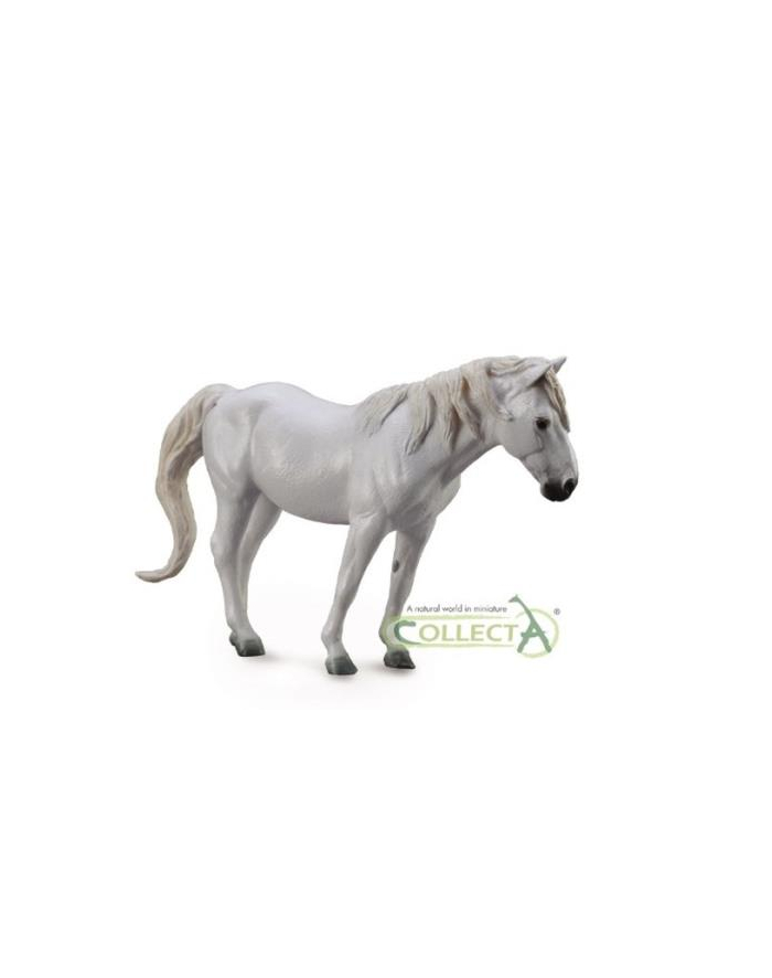 Koń rasy Camargue maści szarej 88749 COLLECTA główny