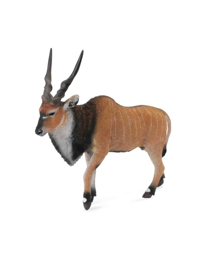 Antylopa olbrzymia eland 88563 COLLECTA główny