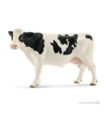 SLH 13797 Krowa rasy Holstein