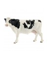 SLH 13797 Krowa rasy Holstein - nr 5