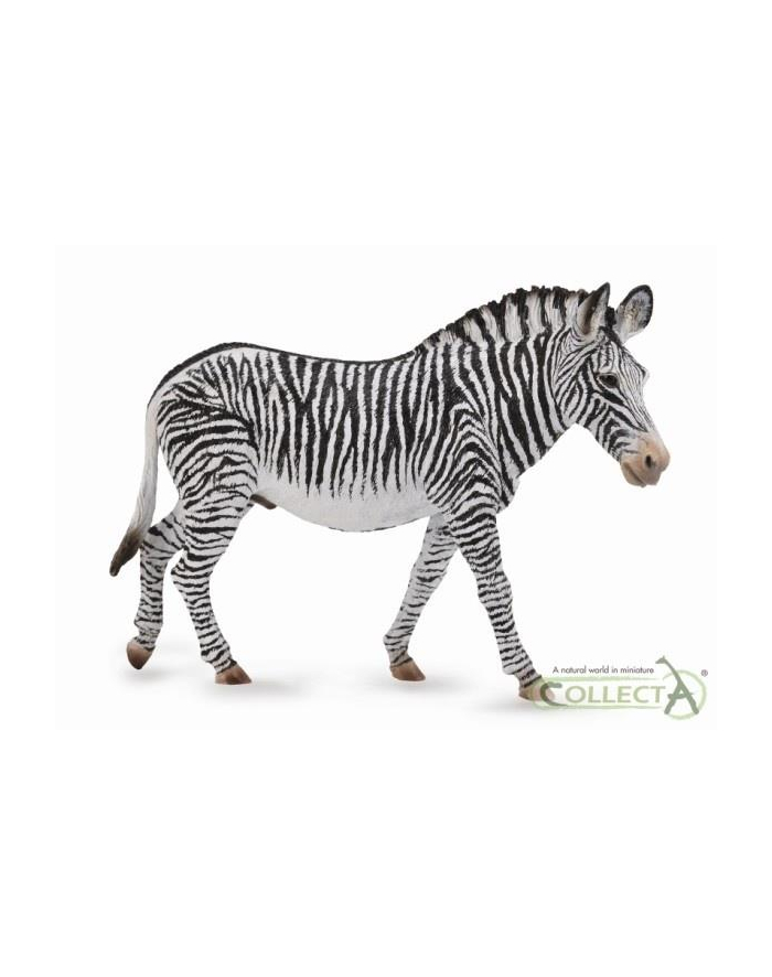 Grevy's zebra 88773 COLLECTA główny