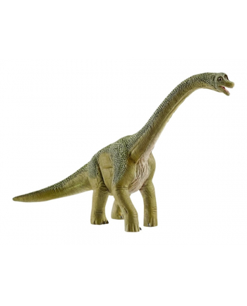 SLH 14581 Brachisaurus nr 2