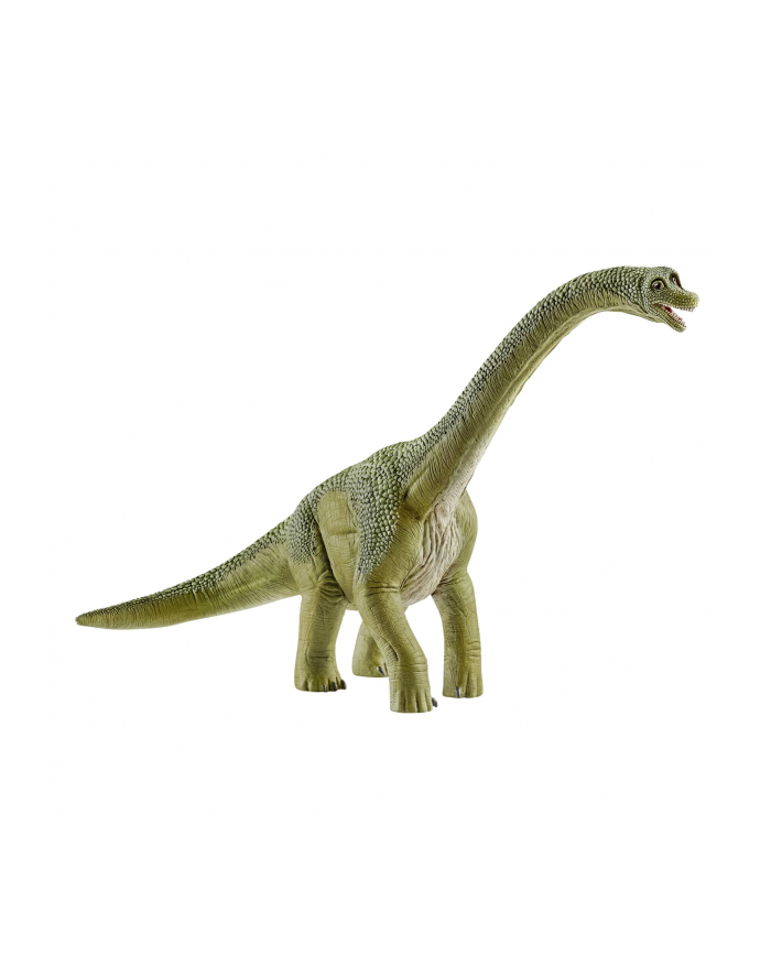 SLH 14581 Brachisaurus główny