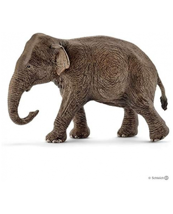 SLH 14753 Azjatycka Słonica nr 2