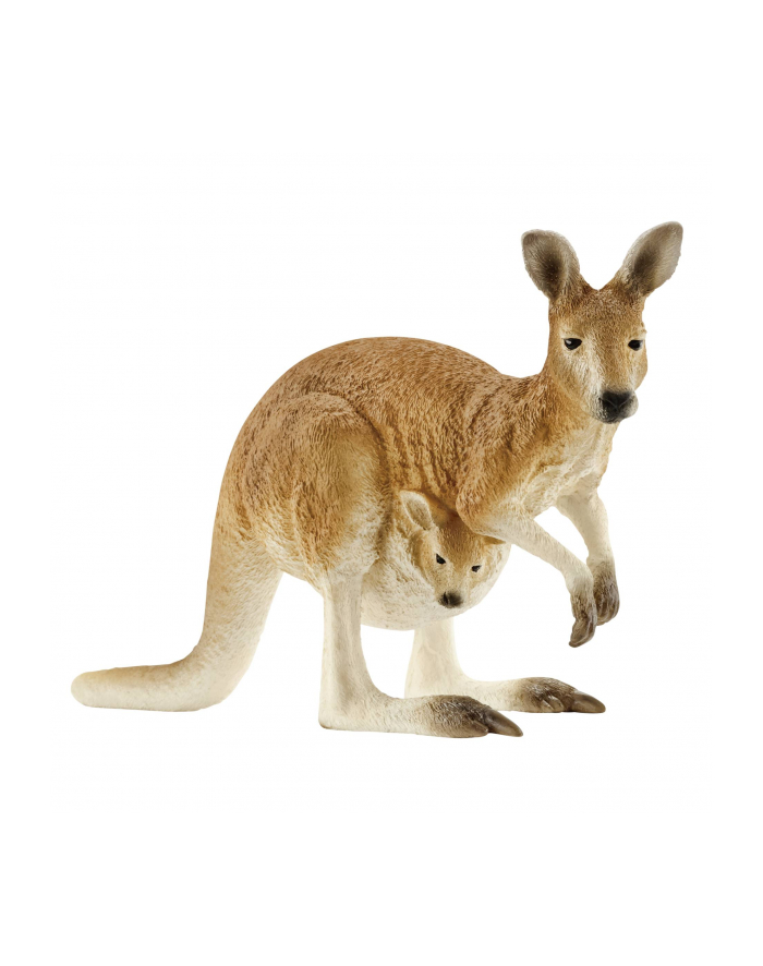 SLH 14756 Kangur główny