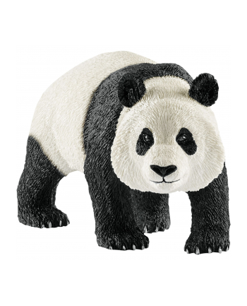 SLH 14772 Panda Wielka samiec