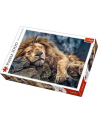 Puzzle 1000el Śpiący lew 10447 Trefl - nr 1