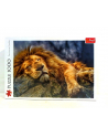 Puzzle 1000el Śpiący lew 10447 Trefl - nr 2