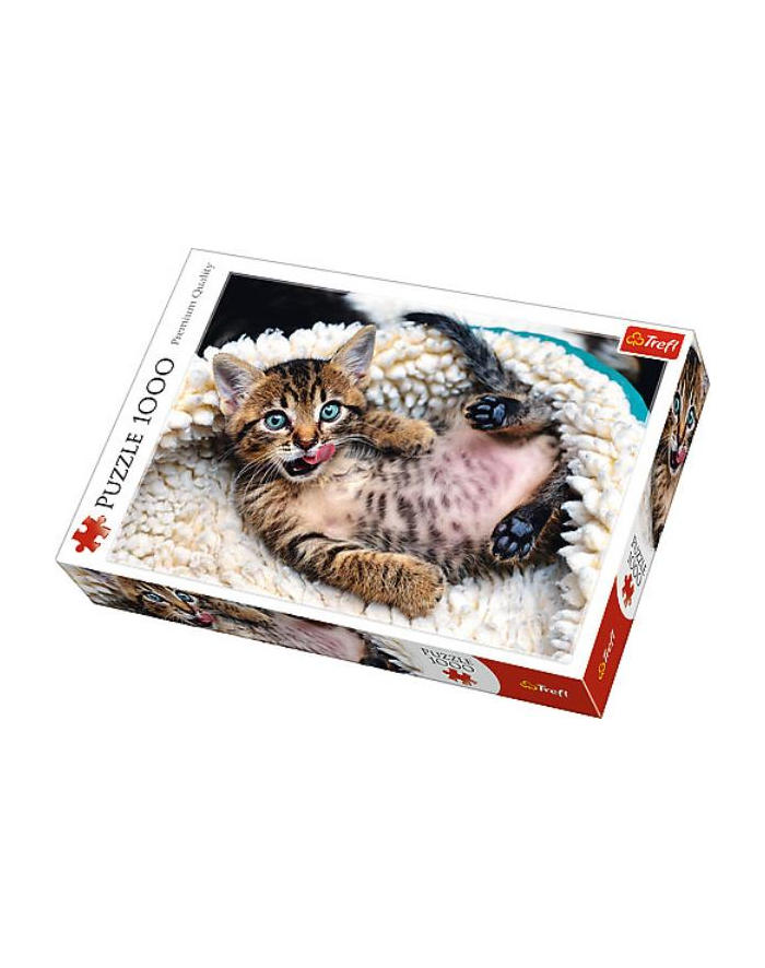Puzzle 1000el Wesoły kotek 10448 Trefl główny