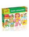 Carotina Ciało człowieka PL6116 - nr 1