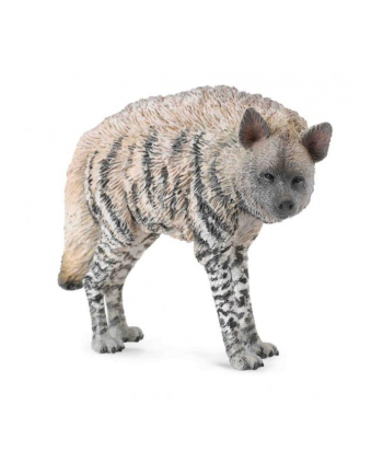 Hiena prążkowana 88566 COLLECTA