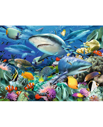 Puzzle 100el XXL Rafa rekinów 109517 RAVENSBURGER nr 1