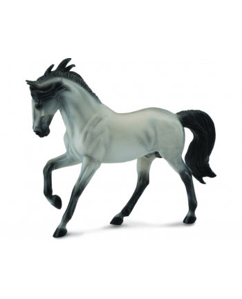 Ogier andalusian szary