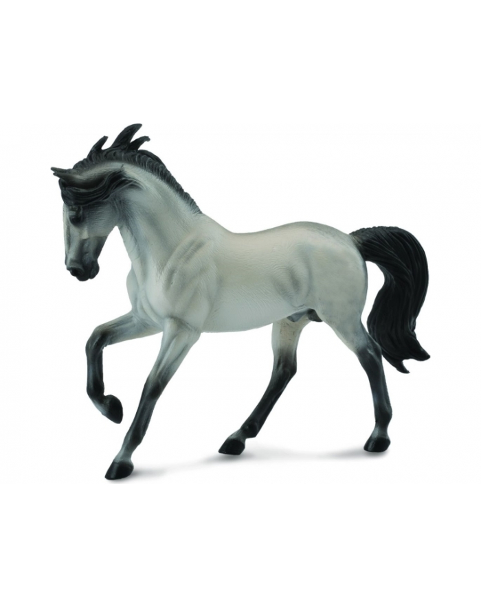 Ogier andalusian szary główny