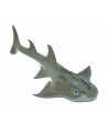 Rekin Bowmouth guitarfish (L) 88804 - nr 1