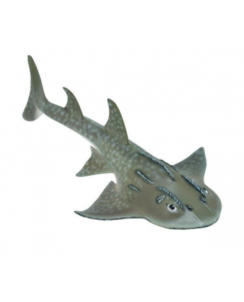 Rekin Bowmouth guitarfish (L) 88804