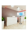 Techly Stojak podłogowy LCD/LED 13-27cali regulowany - nr 32
