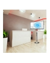 Techly Stojak podłogowy LCD/LED 13-27cali regulowany - nr 36