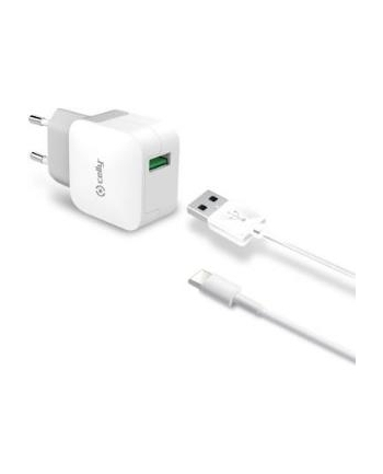 CELLY Szybka Ładowarka TURBO 2.4A / 1 USB Type-C