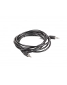 LANBERG Kabel Minijack - Minijack M/M 2M - nr 19