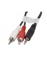LANBERG Kabel Minijack - 2x Chinch M/M 5M - nr 16