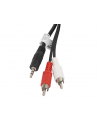 LANBERG Kabel Minijack - 2x Chinch M/M 5M - nr 22