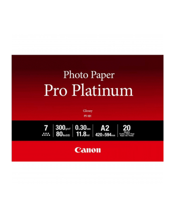 PAPIER FOTO PRO PLATINUM PT-101 A2 20