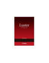 PAPIER FOTO LUSTER LU-101 A2 25 - nr 4