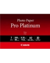 PAPIER FOTO PRO PLATINUM PT-101 A2 20 - nr 10