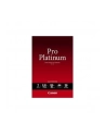 PAPIER FOTO PRO PLATINUM PT-101 A2 20 - nr 11