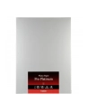 PAPIER FOTO PRO PLATINUM PT-101 A2 20 - nr 4