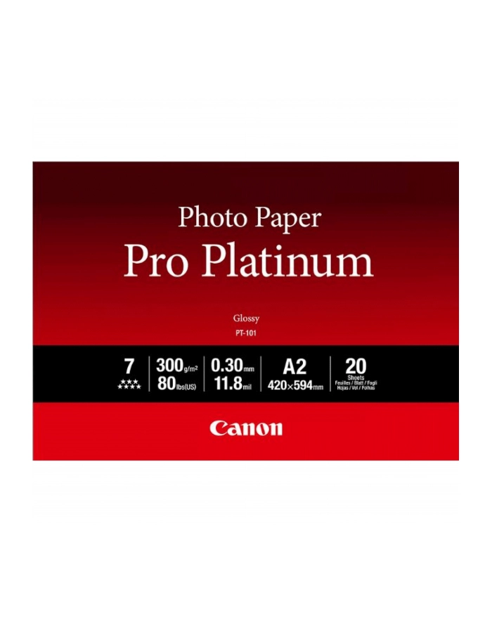 PAPIER FOTO PRO PLATINUM PT-101 A2 20 główny