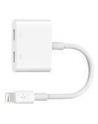 Dual Lightning Audio + Charger - nr 19