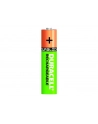 Akumulator AAA/HR3 750mAh 4szt blistr - nr 12