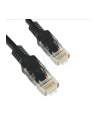 Patchcord kabel sieciowy UTP Cat. 5e 0,5m czarny - nr 8