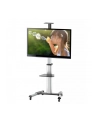 Stojak mobilny LCD/LED 37-70cali regulowany 160cm, 50kg - nr 19