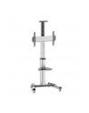 Stojak mobilny LCD/LED 37-70cali regulowany 160cm, 50kg - nr 6