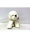 Fluffy Fam pies Bichon 30cm 84404BI - nr 1