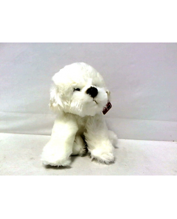 Fluffy Fam pies Bichon 30cm 84404BI