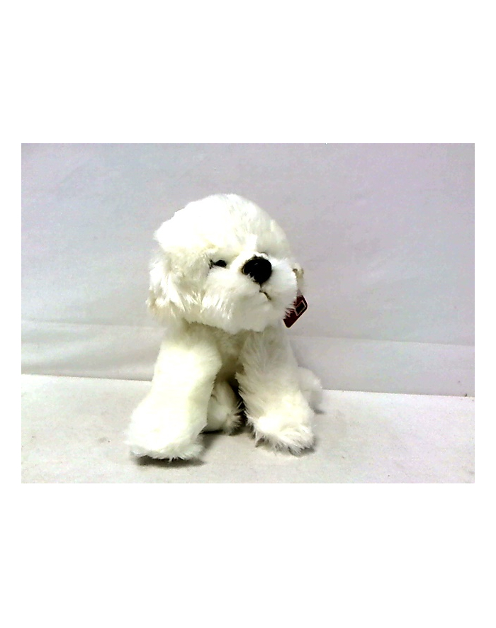 Fluffy Fam pies Bichon 30cm 84404BI główny