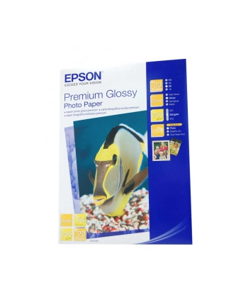 PAPIER DIN A4-PHOTO PREMIUM/20A/ nr 2