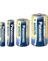 Panasonic EVOLTA Platinum D LR20EGE/2BP - Mono - nr 18