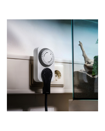 Bachmann Wyłącznik czasowy, mechaniczny nr 1