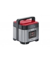 Steba Parowar DD 1 ECO silver/rd - nr 10