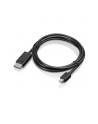 Lenovo Mini DisplayPort to DisplayPort C - 0B47091 - nr 18